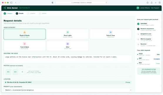 311 service request — citizen view